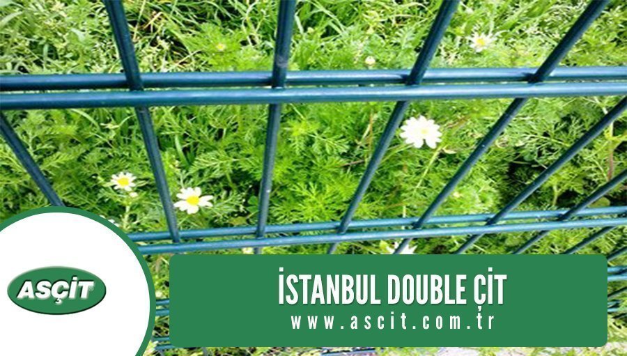 istanbul-double-cit