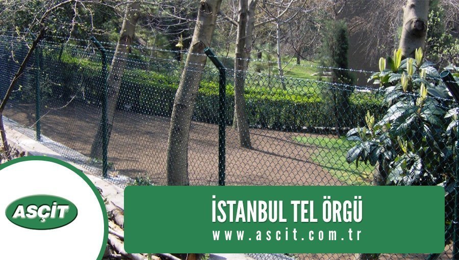 istanbul-tel-orgu